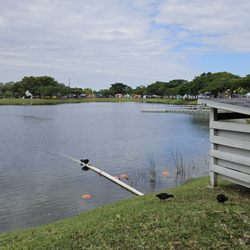 Country Village Park