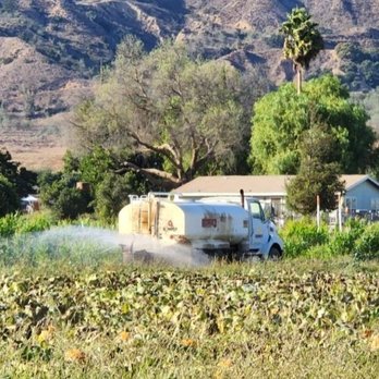 Prancers Farm - Fruits & Veggies Near Me - Santa Paula, California Prancers Farm - Fruits & Veggies Near Me - Santa Paula, California