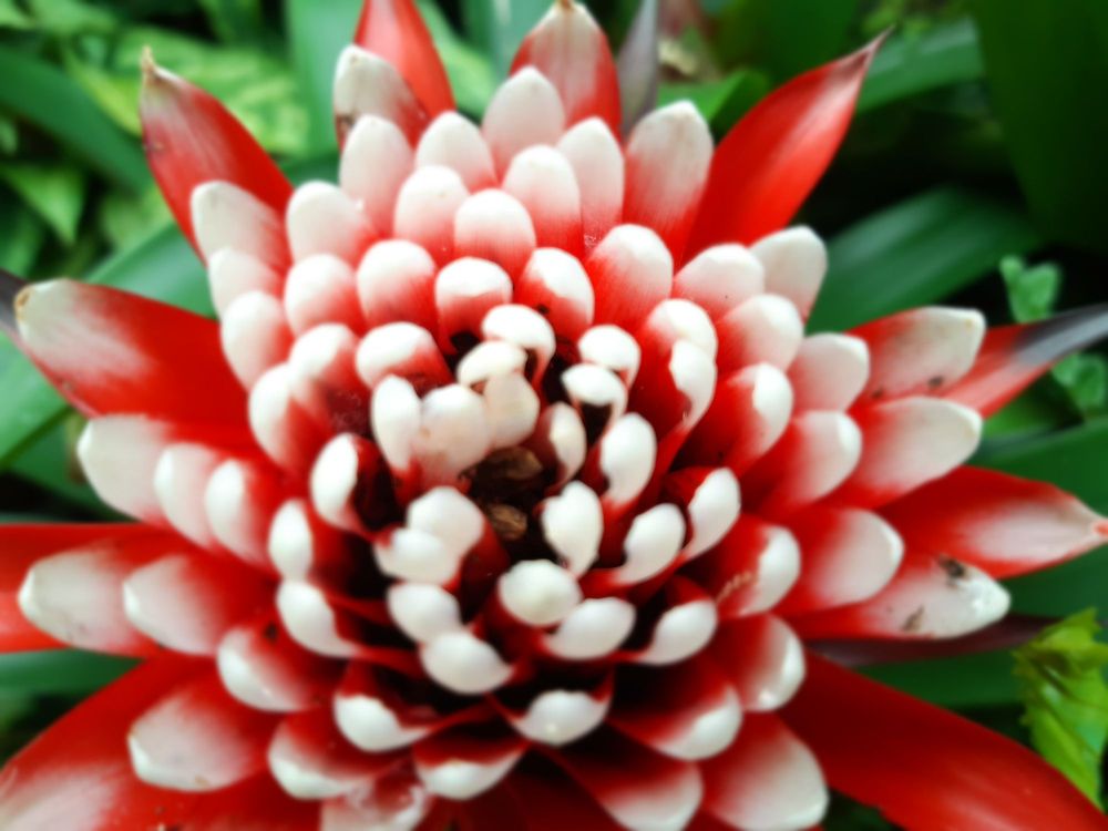 PICNIC GARDEN CAFE 22 Photos 101 Glenmore St, Wellington, New