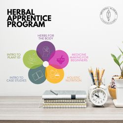 Artemisia Academy - Say goodbye to the overwhelm and learn how to confidently create herbal remedies for yourself and your community! 