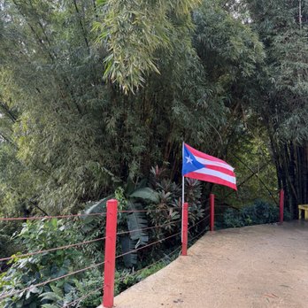 Rainforest Zipline Park - Tours Near Me - Rio Grande, Puerto Rico