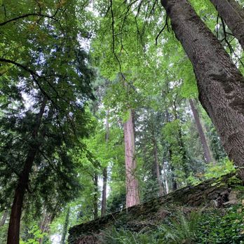 Washington Park - Parks Near Me - Portland, Oregon Washington Park - Parks Near Me - Portland, Oregon