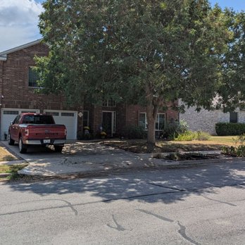7 Tree Services - Before - Tree Services Near Me