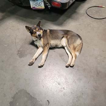 Mufflers & More - Cal, just wondering why I woke him up! - Auto Customization Near Me - Mesa, Arizona