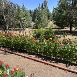 Rosarium Garden Center