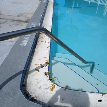 Firstservice Residential - Our pools. After 10 weeks of trying to get it cleaned. - Property Management Near Me - Jacksonville, Florida Firstservice Residential - Our pools. After 10 weeks of trying to get it cleaned. - Property Management Near Me - Jacksonville, Florida