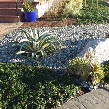 Burbank Botanical Landscaping - a front yard - Landscaping Near Me Burbank Botanical Landscaping - a front yard - Landscaping Near Me