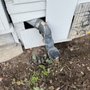 Photo of Local Service Pro Plumbing