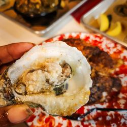 Florida Cracker Fish Company - Broiled oyster