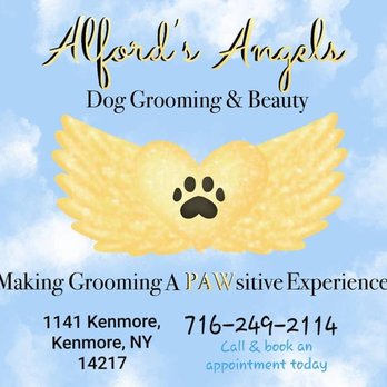 Alford's Angels - Info - Pet Groomers Near Me - Kenmore, New York Alford's Angels - Info - Pet Groomers Near Me - Kenmore, New York