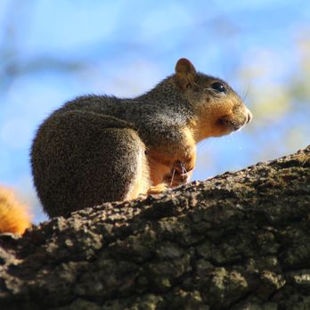 St James Farm Preserve - Parks Near Me - Warrenville, Illinois St James Farm Preserve - Parks Near Me - Warrenville, Illinois