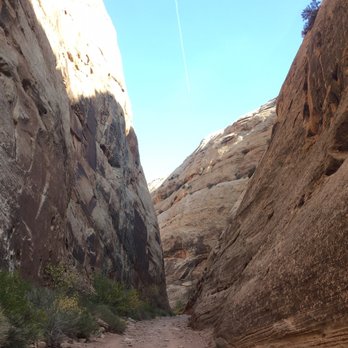 Capitol Gorge - GMonkey do Oct 2020 - Hiking Near Me - Torrey, Utah