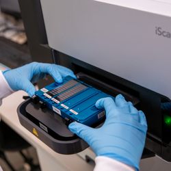 Dynamic DNA Laboratories