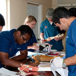 Trinity School of Medicine - Trinity medical students