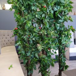 Safia Restaurant - Decor