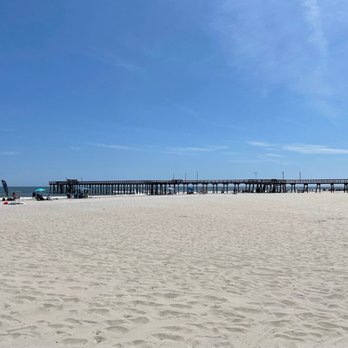Sealark B&B - Ahhh, beach life is grand. Temperature of the ocean is sublime.  This was well worth flying to from the chilly west coast waters! - Bed & Breakfast Near Me - Avalon, New Jersey