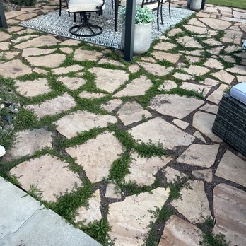Lifetime Tree Service - Weeds - Tree Services Near Me Lifetime Tree Service - Weeds - Tree Services Near Me