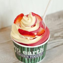 Froyo Earth