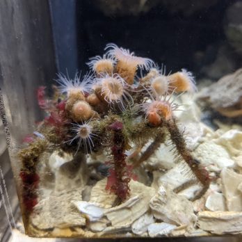 Alaska Sealife Center - Tours Near Me - Seward, Alaska