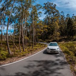 World Class Automotive Rentals