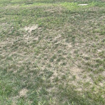 Toll Landscape - a patch of grass that has been mowed - Landscaping Near Me - Colmar, Pennsylvania