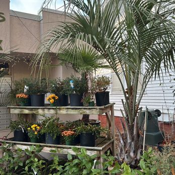 Gardener's Outpost - Outside - Gardeners Near Me - Columbia, South Carolina Gardener's Outpost - Outside - Gardeners Near Me - Columbia, South Carolina