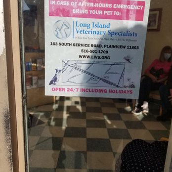 The Cat Doctor - Veterinarians Near Me - New Hyde Park, New York