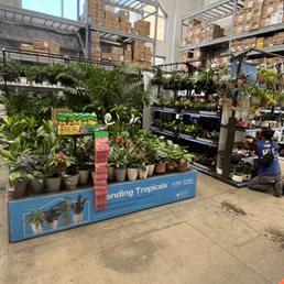 Nice selection of indoor plants Nice selection of indoor plants