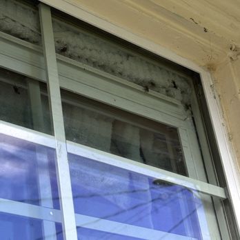Washington Management Company - The flies from the dead rats not being cleaned up - Real Estate Agents Near Me - Seattle, Washington Washington Management Company - The flies from the dead rats not being cleaned up - Real Estate Agents Near Me - Seattle, Washington