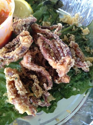 Patricias Pizza II by null