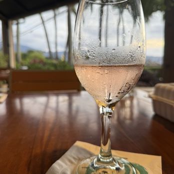 Haleiwa Beach House - Rose wine - Hawaiian Near Me - Haleiwa, Hawaii Haleiwa Beach House - Rose wine - Hawaiian Near Me - Haleiwa, Hawaii
