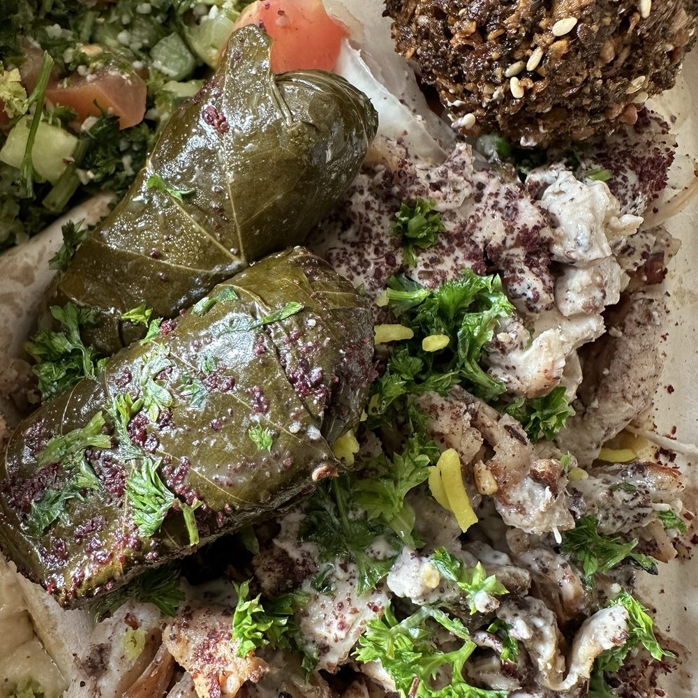 Delicious shawarma plate + dolma & falafel SO GOOD Delicious shawarma plate + dolma & falafel SO GOOD