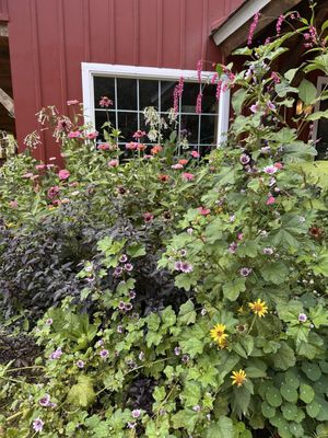 Seed Savers Exchange by null