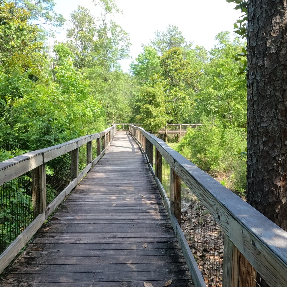 Falling Waters State Park - Boardwalk from the lake toward the falls - Parks Near Me - Chipley, Florida Falling Waters State Park - Boardwalk from the lake toward the falls - Parks Near Me - Chipley, Florida
