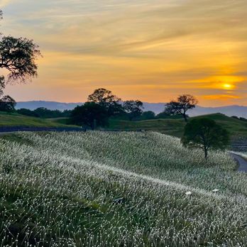 Sensorio - Art Galleries Near Me - Paso Robles, California Sensorio - Art Galleries Near Me - Paso Robles, California