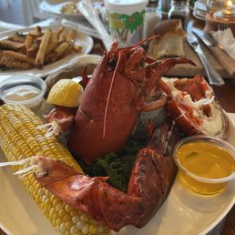 Lobster 1.5 lbs