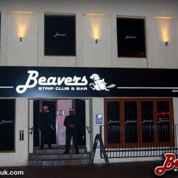 Beavers