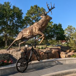 Pedego Electric Bikes Houston The Woodlands