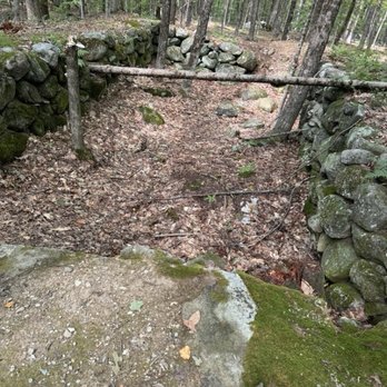 Sunset Hill Trail - Remains of Hastings Farm - Hiking Near Me - Newbury, New Hampshire