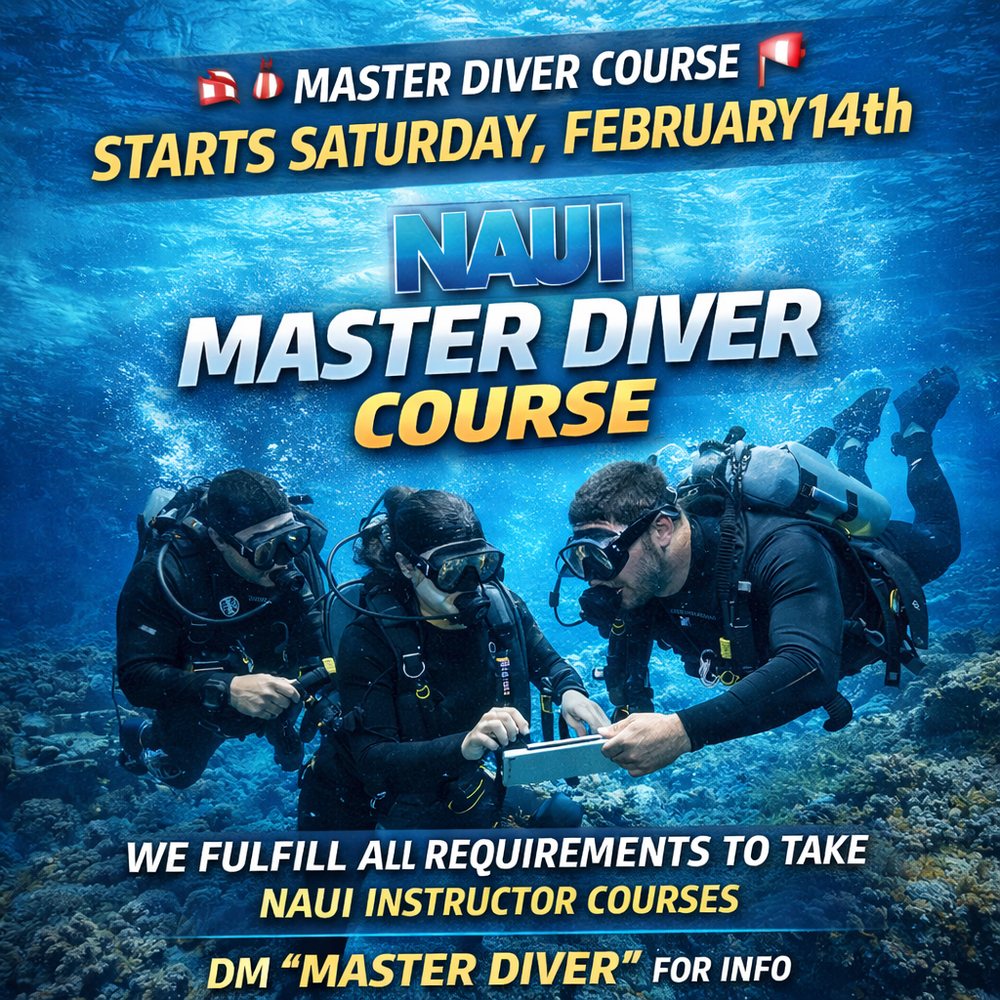 Super Diver 911 Logo