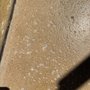 The Floor Polish Guru