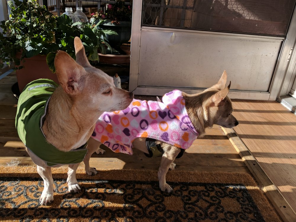 GEARY VETERINARY HOSPITAL 30 Photos & 112 Reviews Veterinarians