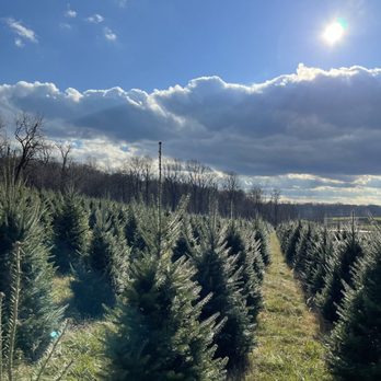 Gaver Farm - Pick Your Own Farms Near Me - Mount Airy, Maryland Gaver Farm - Pick Your Own Farms Near Me - Mount Airy, Maryland