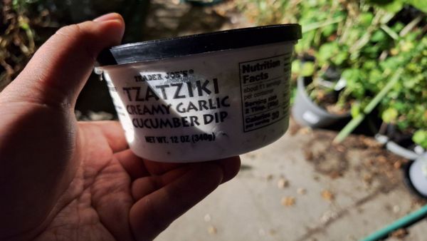 Trader Joe's by null