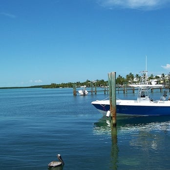 Coral Bay Resort - bayside at Coral Bay Resort - Hotels Near Me - Islamorada, Florida