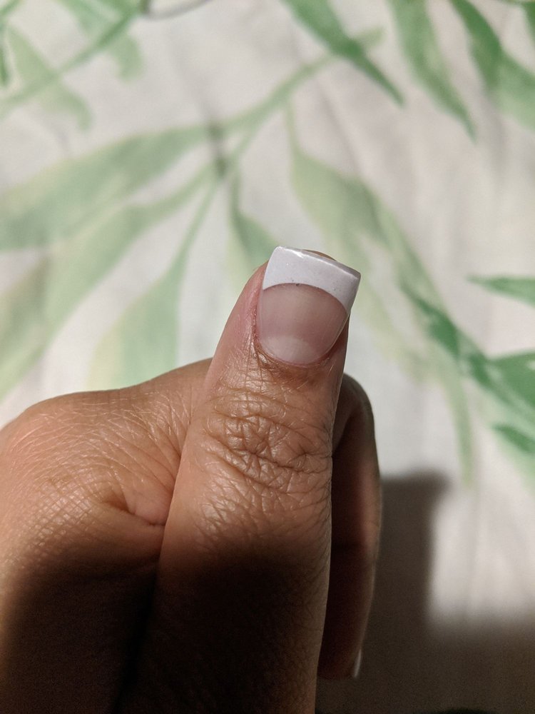 PARADISE NAILS AND SPA 169 Photos & 60 Reviews 815 Hutchinson River Pkwy, Bronx, New York