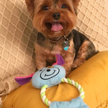 Petco - Pet Stores Near Me - Hallandale Beach, Florida