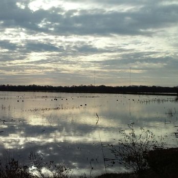 Cosumnes River Preserve - Parks Near Me - Galt, California