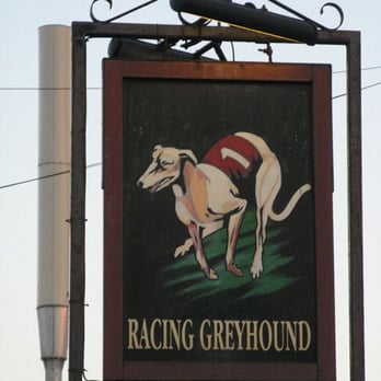Racing Greyhound - Pubs Near Me - Ramsgate, KEN