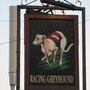 Photo of Racing Greyhound